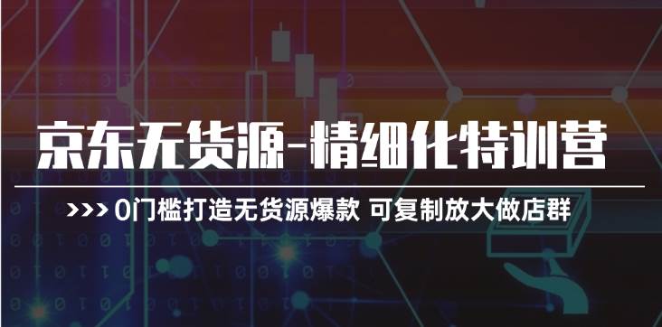 （11303期）京东无货源-精细化特训营，0门槛打造无货源爆款 可复制放大做店群-领学通