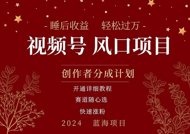（11331期）拥有睡眠收益的微信视频号大风口项目，轻松月入过万+，多赛道选择，可…-领学通