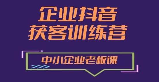 企业抖音营销获客增长训练营，中小企业老板必修课-领学通