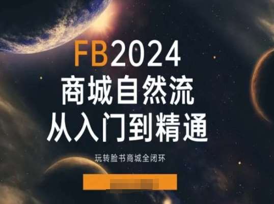 2024Faceboo商城自然流(从入门到精通)，玩转脸书商城全闭环-领学通