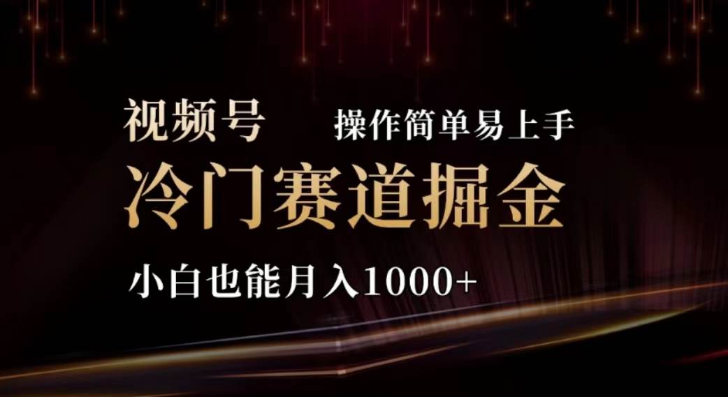 （11378期）2024视频号冷门赛道掘金，操作简单轻松上手，小白也能月入1000+-领学通