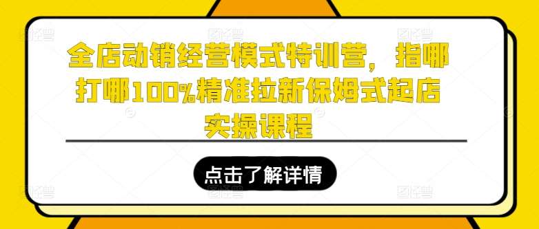 全店动销经营模式特训营，指哪打哪100%精准拉新保姆式起店实操课程-领学通