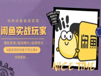 手把手教你0到1系统玩转闲鱼变现，爆款思维/超级曝光/超高转化-领学通