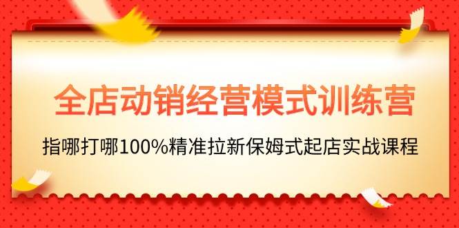 （11460期）全店动销-经营模式训练营，指哪打哪100%精准拉新保姆式起店实战课程-领学通