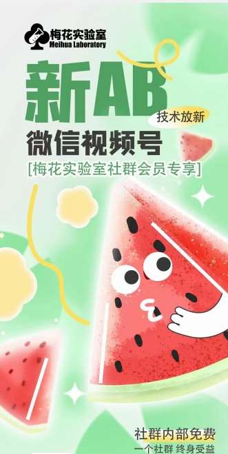梅花实验室2024年AB技术视频号AB合成破解版-领学通