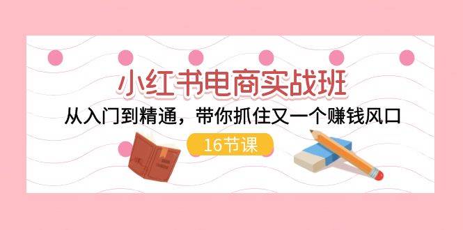 小红书电商实战班，从入门到精通，带你抓住又一个赚钱风口（17节）-领学通
