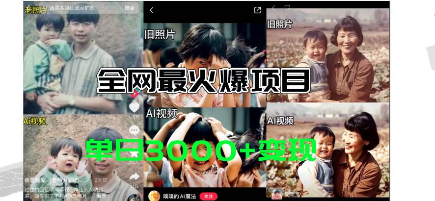 （11546期）全网爆火的AI让老照片动起来教程，蹭热点日赚3000+，内含免费工具一键…-领学通