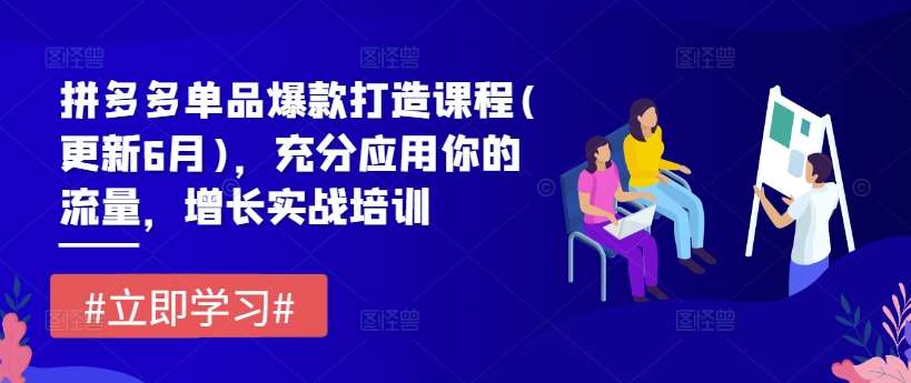 拼多多单品爆款打造课程(更新6月)，充分应用你的流量，增长实战培训-领学通
