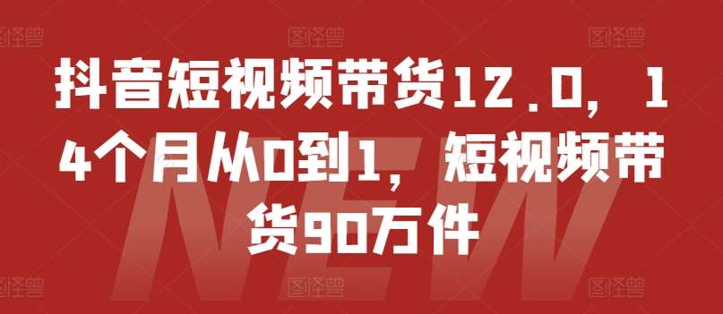 抖音短视频带货12.0，14个月从0到1，短视频带货90万件-领学通