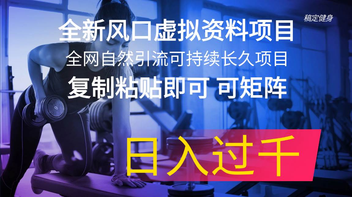 （11587期）全新风口虚拟资料项目 全网自然引流可持续长久项目 复制粘贴即可可矩阵…-领学通