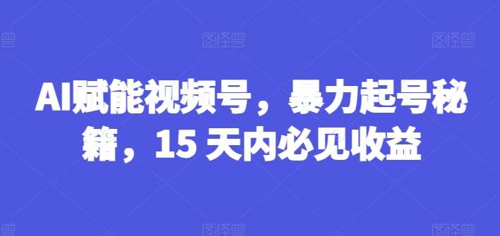 AI赋能视频号，暴力起号秘籍，15 天内必见收益【揭秘】-领学通