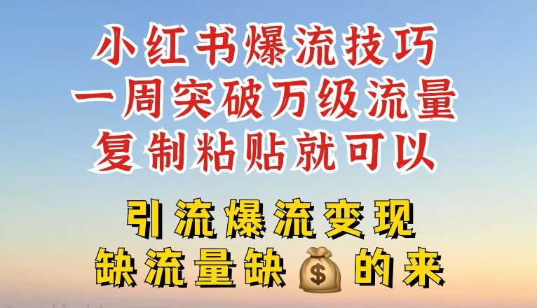 小红书爆流技巧，一周突破万级流量，复制粘贴就可以，引流爆流变现【揭秘】-领学通