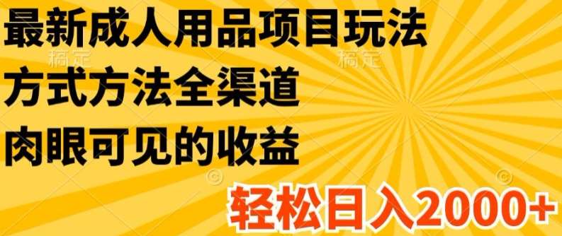 最新成人用品项目玩法，方式方法全渠道，轻松日入2K+【揭秘】-领学通