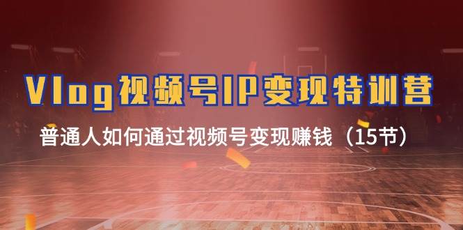 Vlog视频号IP变现特训营，普通人如何通过视频号变现赚钱（15节）-领学通