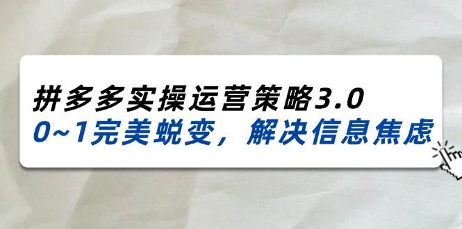 （11658期）2024_2025拼多多实操运营策略3.0，0~1完美蜕变，解决信息焦虑（38节）-领学通