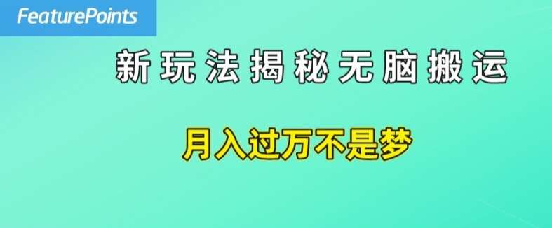 简单操作，每天50美元收入，搬运就是赚钱的秘诀【揭秘】-领学通