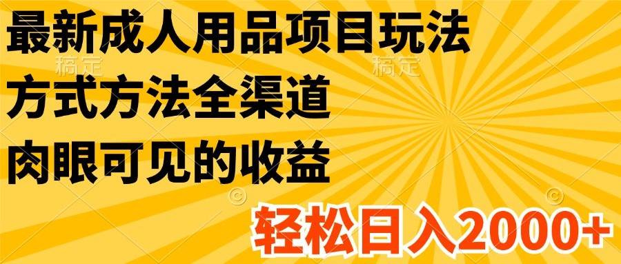 最新成人用品项目玩法，方式方法全渠道，肉眼可见的收益，轻松日入2000+-领学通