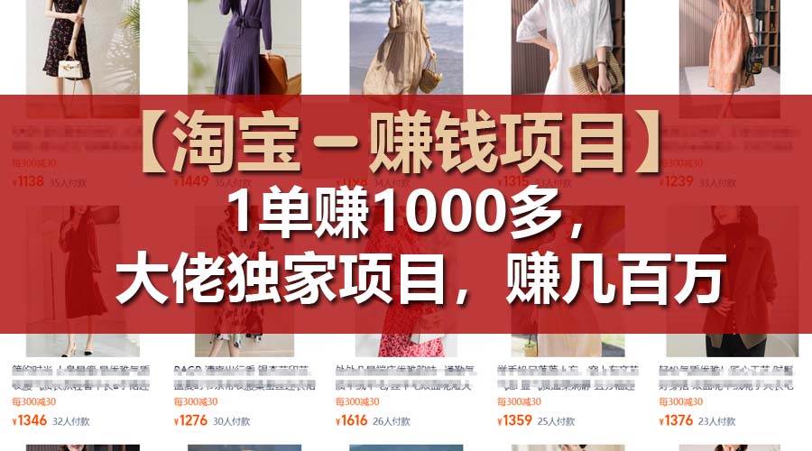 （11685期）【淘宝赚钱项目】1单可赚1000多，大佬独家项目，年赚几百万-领学通