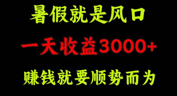 （11670期）一天收益3000+ 赚钱就是顺势而为，暑假就是风口-领学通