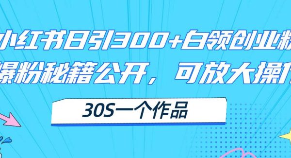 （11692期）小红书日引300+高质白领创业粉，可放大操作，爆粉秘籍！30s一个作品-领学通