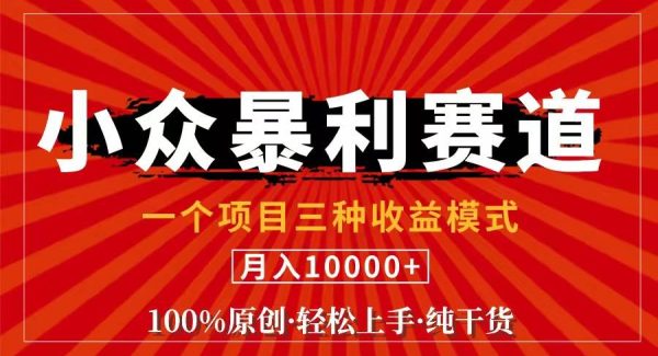 （11695期）视频号【中老年粉深信不疑】小众赛道 100%原创 手把手教学 新号3天收益…-领学通