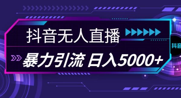 （11709期）抖音无人直播，暴利引流，日入5000+-领学通