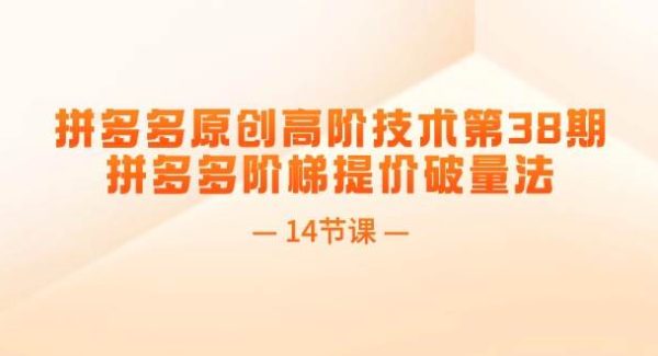 （11704期）拼多多原创高阶技术第38期，拼多多阶梯提价破量法（14节课）-领学通