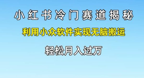 小红书冷门赛道揭秘,利用小众软件实现无脑搬运，轻松月入过万-领学通