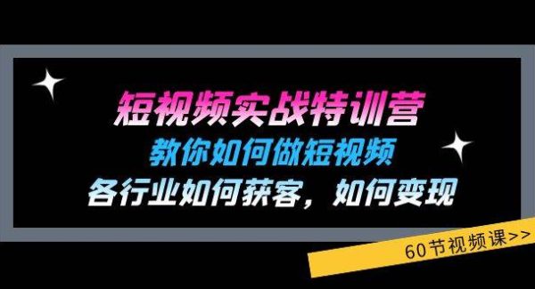 短视频实战特训营：教你如何做短视频，各行业如何获客，如何变现 (60节)-领学通