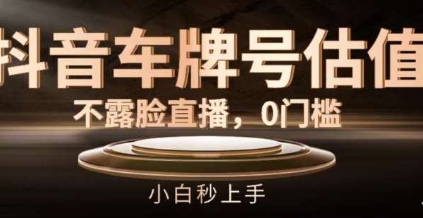 抖音车牌号估值，不露脸直播，0门槛，小白秒上手【揭秘】-领学通