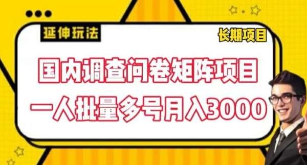 国内调查问卷矩阵项目，一人批量多号月入3000【揭秘】-领学通
