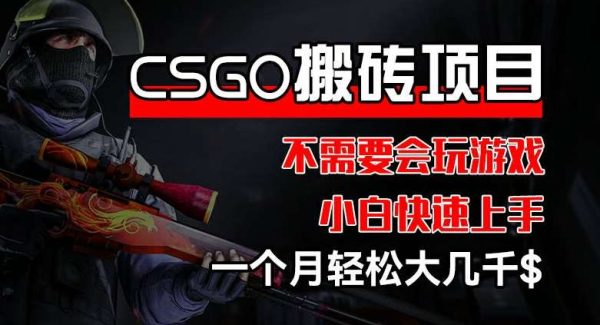 CSGO 装备搬砖项目，操作简单，不需要会玩游戏，小白也能快速上手，一个月轻松大几千【揭秘】-领学通