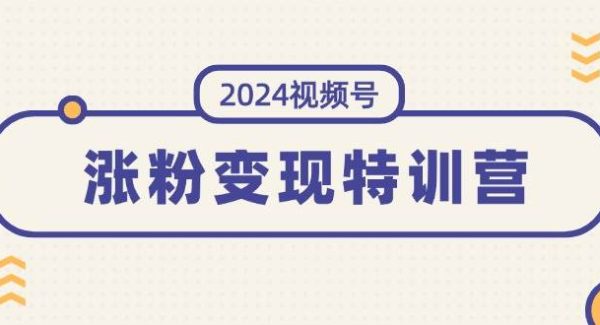 （11779期）2024视频号-涨粉变现特训营：一站式打造稳定视频号涨粉变现模式（10节）-领学通