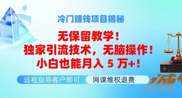 （11864期）冷门赚钱项目无保留教学！独家引流技术，无脑操作！小白也能月入5万+！-领学通