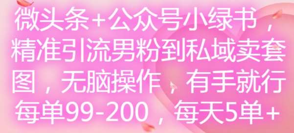 微头条+公众号小绿书，精准引流男粉到私域卖套图，无脑操作，有手就行，每单99-200，每天5单-领学通