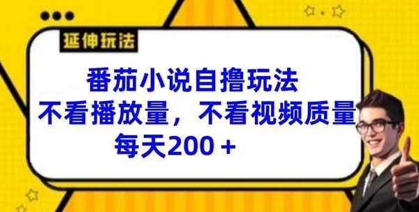 番茄小说自撸玩法，不看播放量，不看视频质量，每天200+【揭秘】-领学通