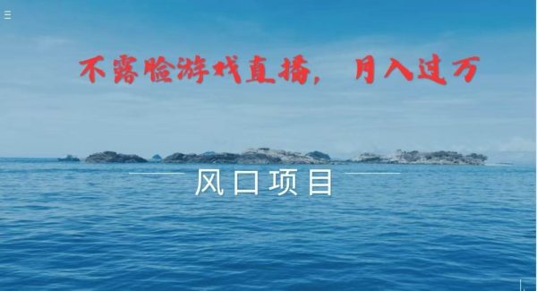 不露脸不出镜，玩转找茬游戏，普通人实现月入过万的好项目-领学通