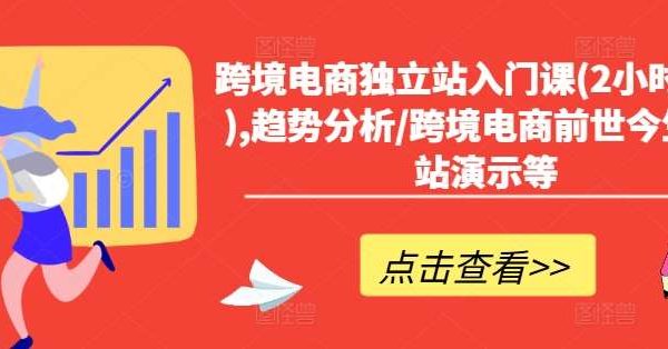 跨境电商独立站入门课(2小时精华),趋势分析/跨境电商前世今生/建站演示等-领学通