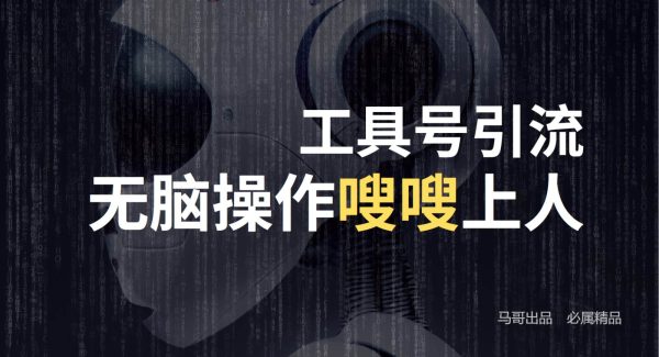工具号高效引流法，嗖嗖上人，日引1000+，直接搬运，无脑操作-领学通
