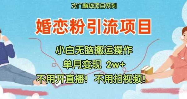 小红书婚恋粉引流，不用开直播，不用拍视频，不用做交付【揭秘】-领学通