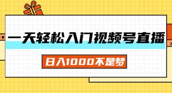 （11906期）一天入门视频号直播带货，日入1000不是梦-领学通