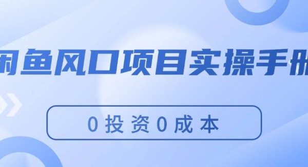 （11923期）闲鱼风口项目实操手册，0投资0成本，让你做到，月入过万，新手可做-领学通