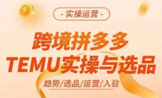 跨境拼多多TEMU实操与选品，多多temu跨境选品运营实操-领学通