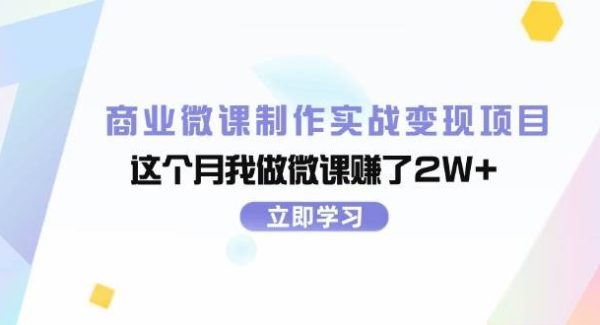 （11959期）商业微课制作实战变现项目，这个月我做微课赚了2W+-领学通