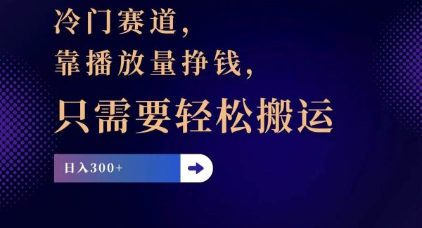 （11965期）冷门赛道，靠播放量挣钱，只需要轻松搬运，日赚300+-领学通