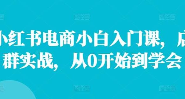 小红书电商小白入门课，店群实战，从0开始到学会-领学通