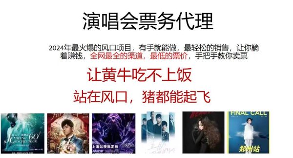 （12011期）2024演唱会低票务代理，新手可上手，手把手教你卖票，日入2000+，会玩…-领学通