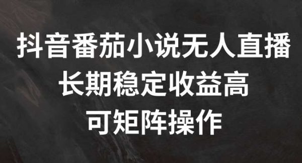 抖音番茄小说无人直播，长期稳定收益高，可矩阵操作【揭秘】-领学通