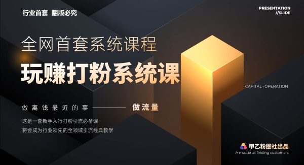 （12037期）全网首套系统打粉课，日入3000+，手把手各行引流SOP团队实战教程-领学通
