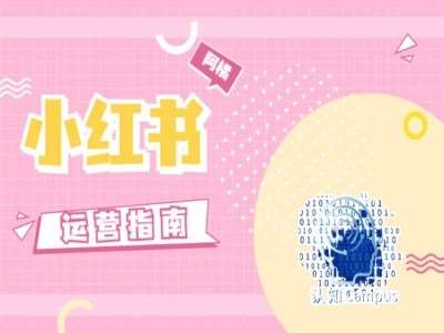 小红书运营指南，没有套路，全是经验-领学通